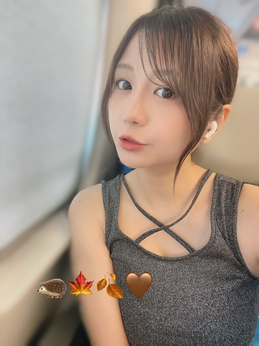 gumiiin25's tweet photo. いよいよ10月〜🐈🧶
久しぶりに晴れそうでうれしい☀️ https://t.co/Q3uGLQH6yj