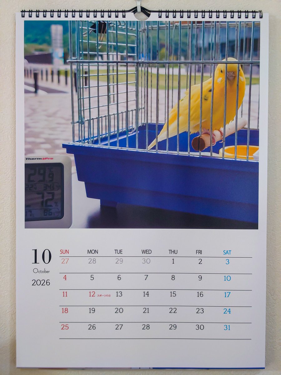 StudioPIYOKO's tweet photo. 10月になりました🦜
今月はまるちゃんです🥰
🌻🦜🌕🌈
幸せの黄色い鳥💛 https://t.co/S3eTdwjTrQ