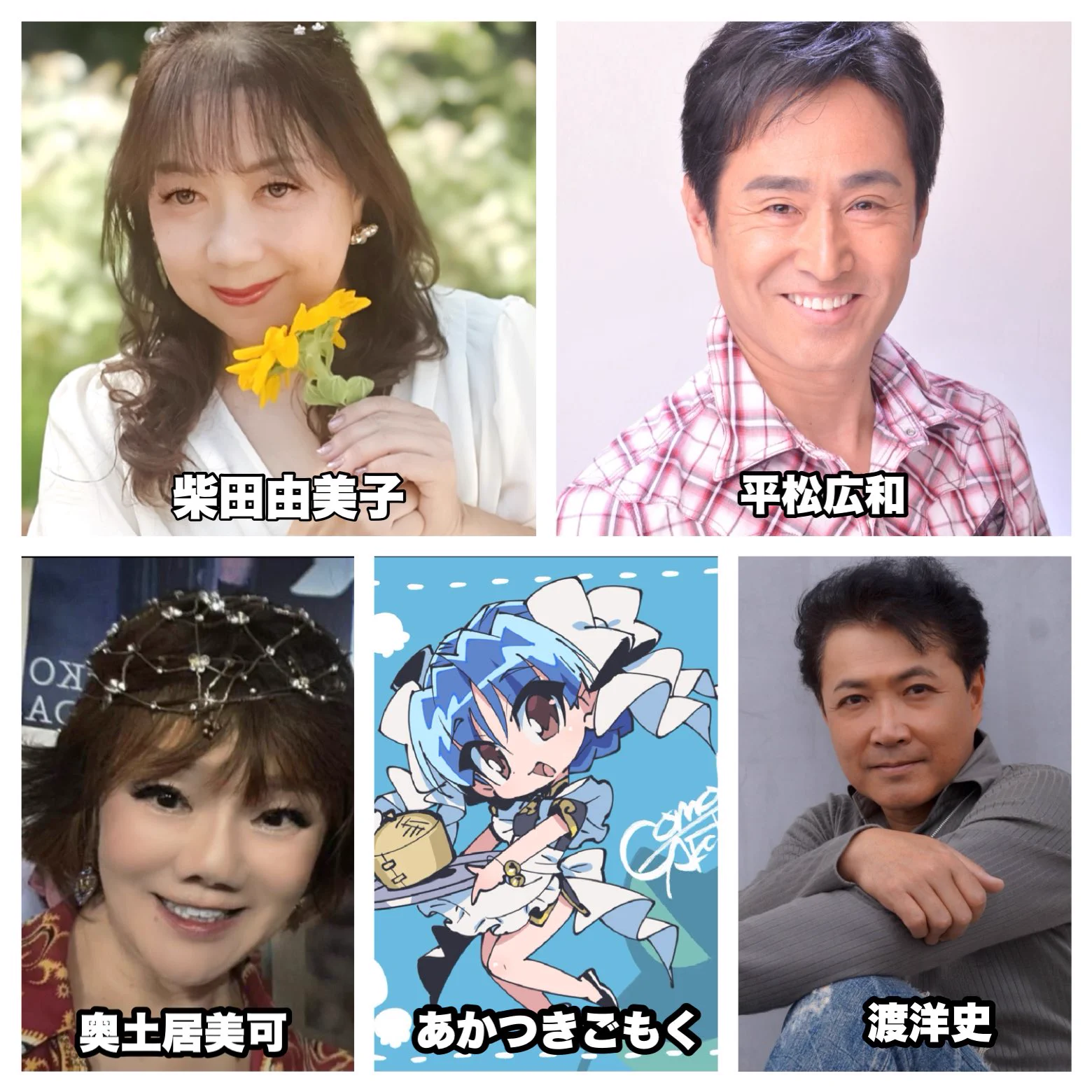 柴田由美子 声優