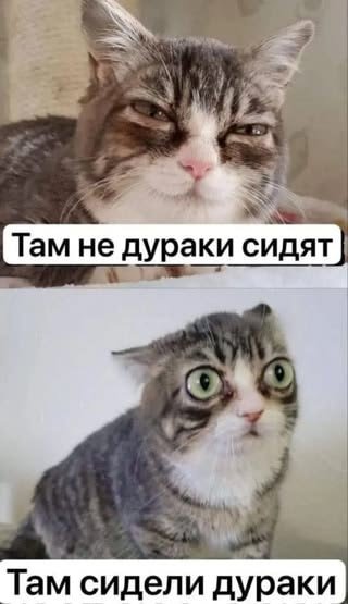 Ataman3orro's tweet photo. @Nekko_404 https://t.co/1OAZHiGoHD