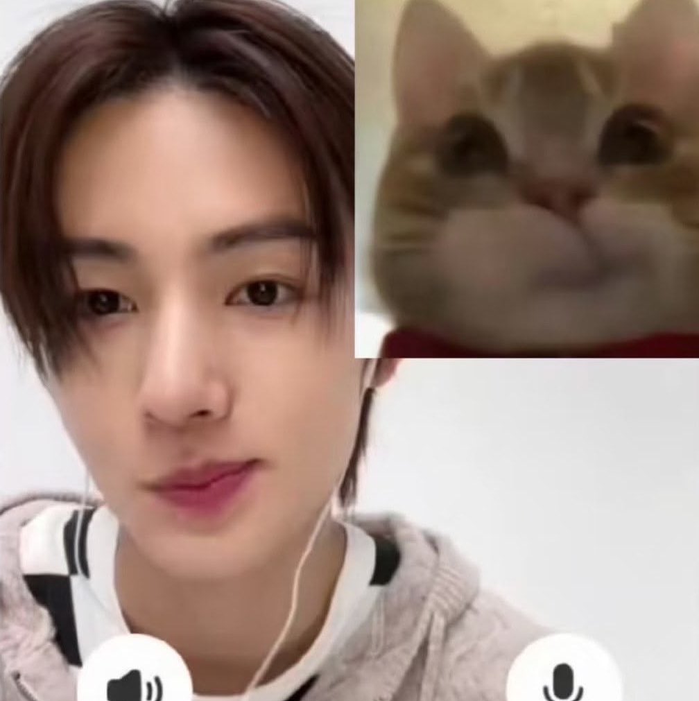 ihrteom's tweet photo. when your kpop boy is pretty like a girl https://t.co/utq2XTyfv7