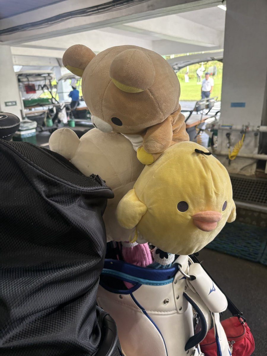 prof_layton1's tweet photo. めっちゃ可愛いヘッドカバー付けてる人いた！同じの欲しい😍 https://t.co/UXfNg5QRZN