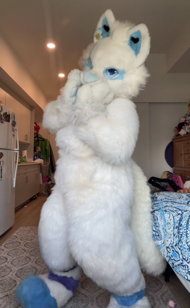 BellaSepticeye3's tweet photo. This is how you will find me at #BLFC2026. #furry #furries  #furryfandom. #furryplay https://t.co/bSxIfUFxAB