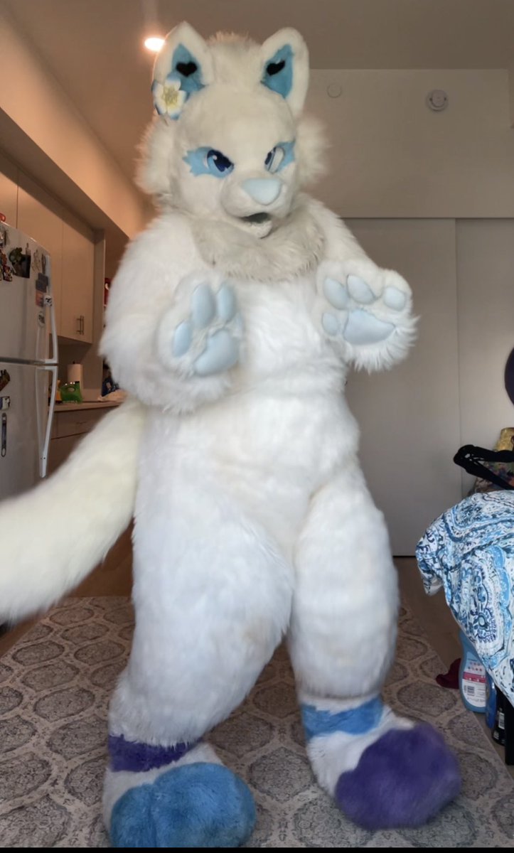 BellaSepticeye3's tweet photo. This is how you will find me at #BLFC2026. #furry #furries  #furryfandom. #furryplay https://t.co/bSxIfUFxAB