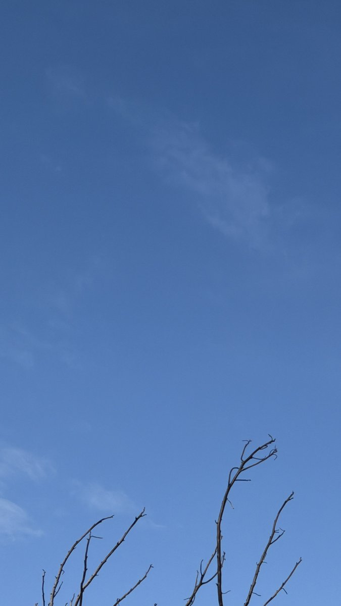 Haru_ka0410's tweet photo. まだ雲もあるけど
太陽、青空久しぶりー☀️
嬉しー✨
お天気ありがとう😭

【日本酒ゴーアラウンド】
当日分のバッジもあり〼🍶

『前田家』さんインスタ↓
https://t.co/OHmTOsYZrk
JR阿佐ヶ谷駅 南口 https://t.co/aoxBPGcrH6