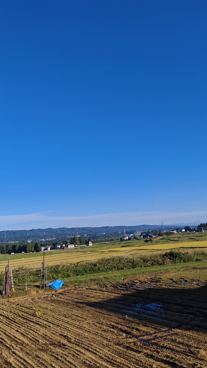 kainotorapong's tweet photo. 雲一つなき十日町市☀️
いや雲いっぱいあった
明け方は山沿い霧が凄かったけど晴れましたね
#hl775 https://t.co/8GDUcGrlBe