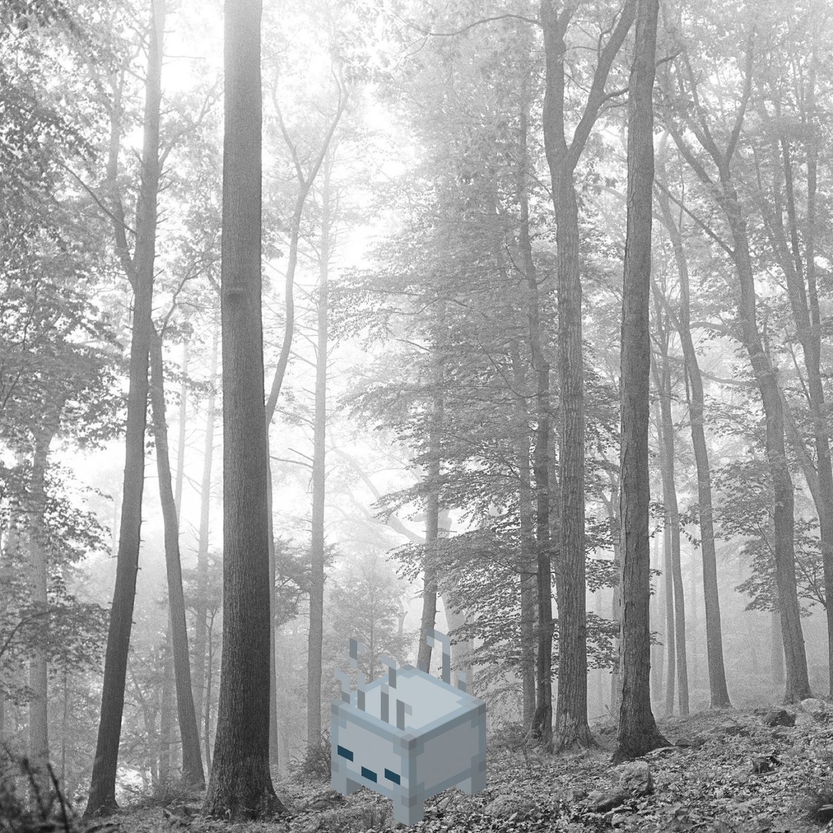 itlivsinme's tweet photo. so you’re telling me there’s a folklore blub… https://t.co/KoQKcqLXuC