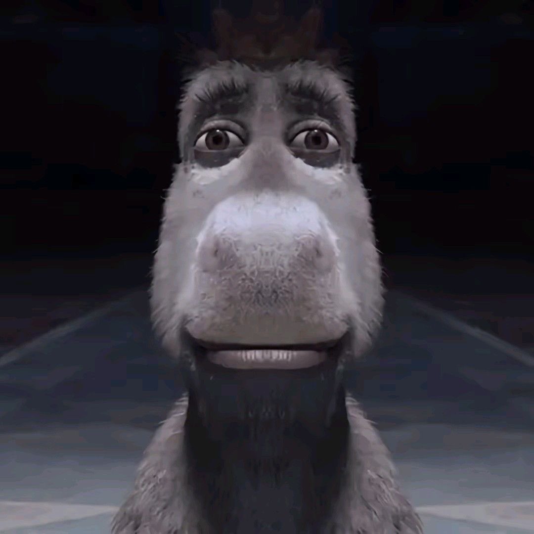 finelinexaure's tweet photo. jsp pq cette cover d'album me fait penser à ce meme jrigole tte seule comme la folle du bus https://t.co/VDTxwp38Ax