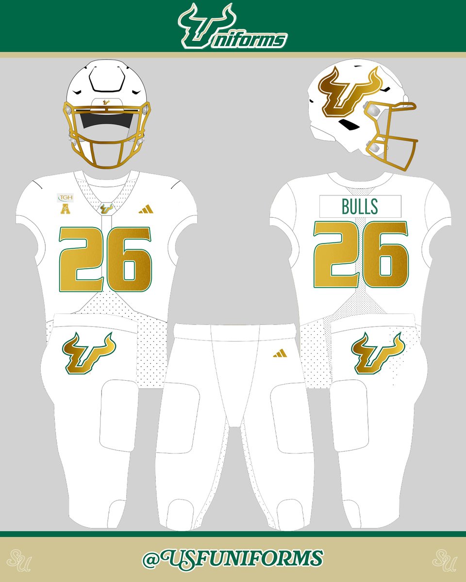 USFUniforms's tweet photo. @TJenksTampa @TBFan613 Hmm. Made this awhile back! https://t.co/e5h47LTUDJ