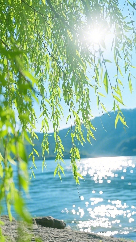 izozln285's tweet photo. [Under the warm sun, the soft breeze makes the wavy lake beside the thin neck of the willow swing gently—what a quiet and beautiful moment!]， https://t.co/bxycVuHCcS