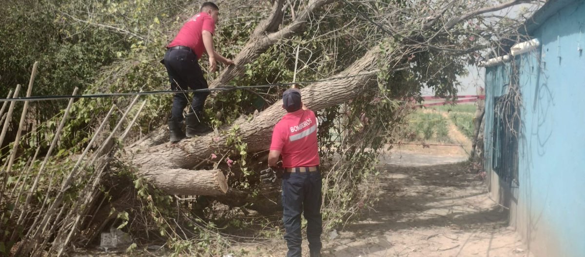 dionelsena's tweet photo. Activa @BetzabeMtzA protocolo de atención ante lluvias y fuertes rachas de viento que se registraron en Gómez Palacio la tarde de este martes y que dejaron afectaciones al cableado eléctrico de los pozos 19 y 32 del Sideapa que están fuera de operaciones. https://t.co/2Ir8TxSv1z