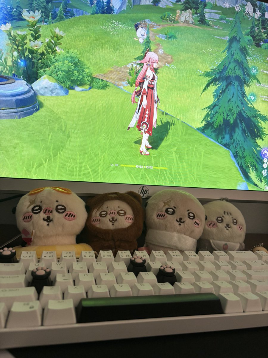 mayameowi's tweet photo. https://t.co/afcDNZvJ2Z