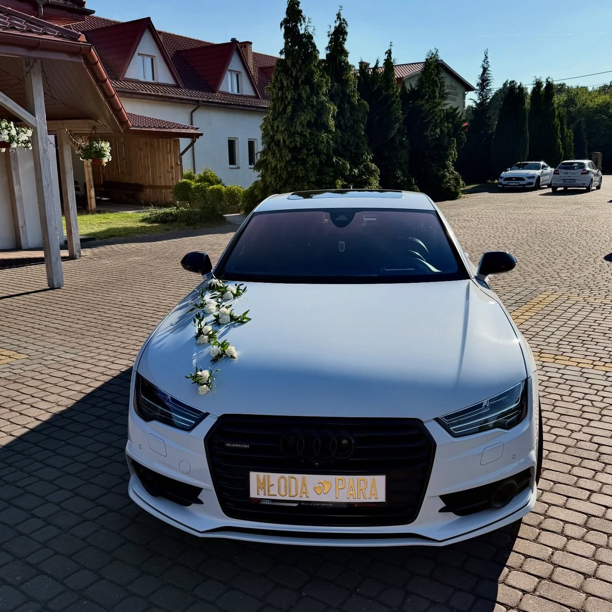 a_morgany375's tweet photo. #ślub2026 #czerwiec #młodapara #love #weddingtime❤️ https://t.co/TFoC3PTJky