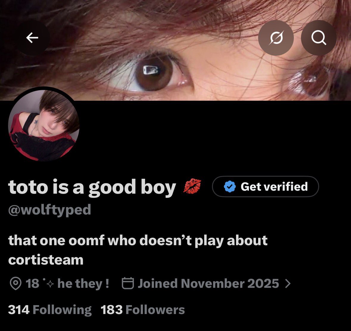 wolftyped's tweet photo. new layout don’t forget me .. i’ve hired this puppy to stare at you https://t.co/t27t5vao3q