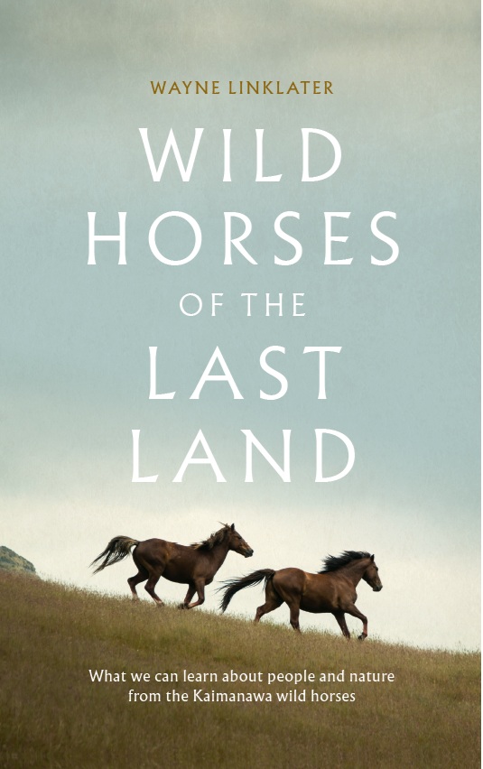 Perissodactyla's tweet photo. All welcome at Scorpio Books for the launch of 'Wild Horses of the Last Land': 15th October at 5:30pm: https://t.co/Q3KGFxOIaI https://t.co/1CQdV7rWsa