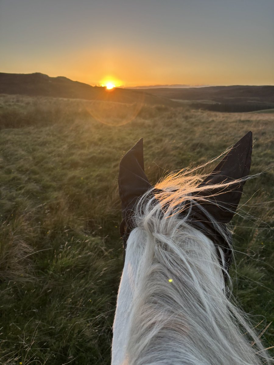 armadalefarm's tweet photo. 😎✌🏻 https://t.co/riOYYKRBCx