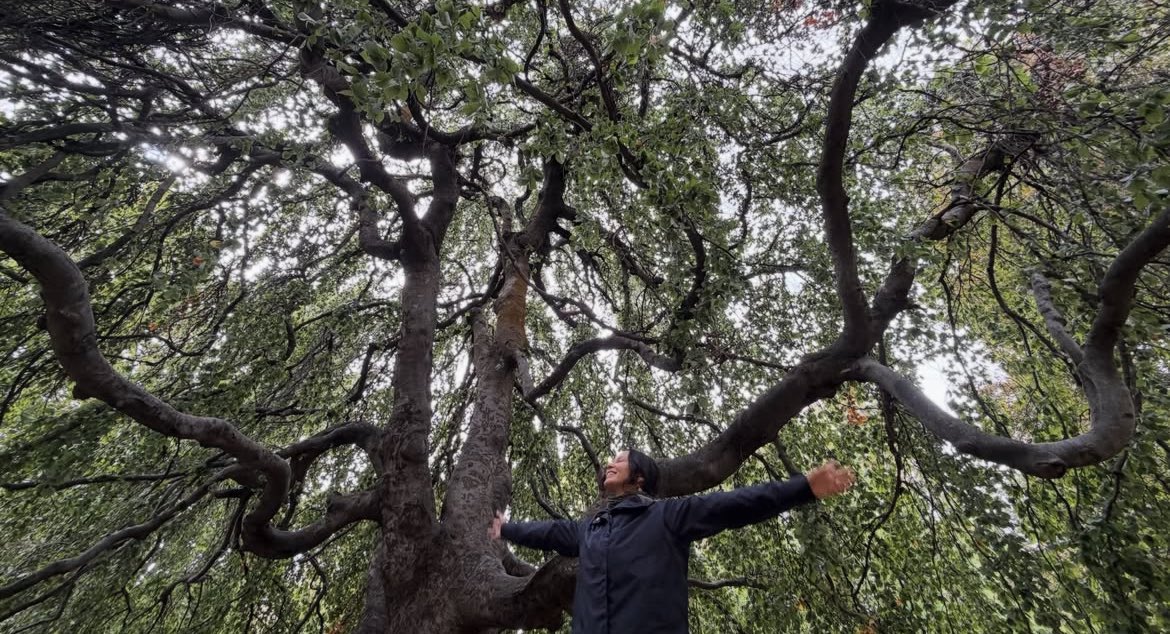 chenxoneils's tweet photo. she’s in the trees, she’s in the breeze https://t.co/TULbilbPyR