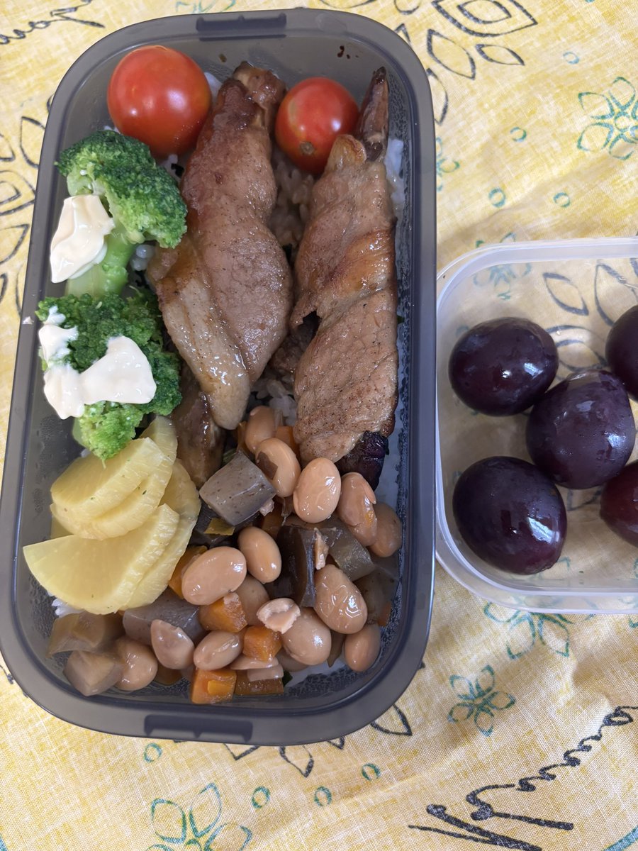 nyxqf447's tweet photo. #お弁当　昨夜はインスティチュートで帰り遅く、今朝はなかなか起きられなかった。茄子の肉巻き、昨日大量に作った五目豆。トマトは、勝手に花壇に生えてきた苗から収穫。生協の巨峰 https://t.co/LW1vmoh3yV