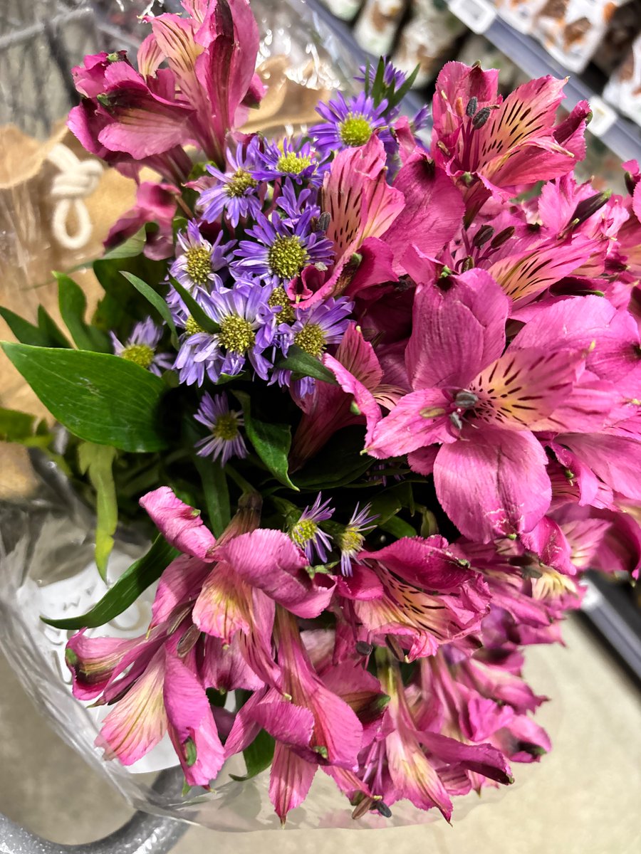 Kiwitrinity1's tweet photo. Buying flowers for my WONDERFUL girlfriend 🦭🦭🦭🦭🦭🦭 she’s so pretty🦦🦦🦦 she’s lowkey the flowers bleh #ilovemygirlfriend like omg 🤤🤤🤤 https://t.co/W5gbwCq3Fh