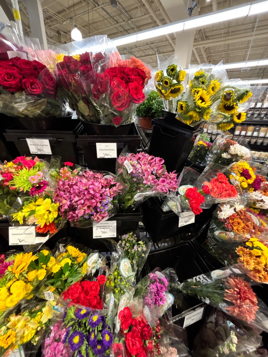 Kiwitrinity1's tweet photo. Buying flowers for my WONDERFUL girlfriend 🦭🦭🦭🦭🦭🦭 she’s so pretty🦦🦦🦦 she’s lowkey the flowers bleh #ilovemygirlfriend like omg 🤤🤤🤤 https://t.co/W5gbwCq3Fh