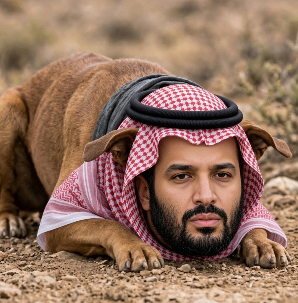 L73S3's tweet photo. @hjelan20 مازالت كلاب الدرعية تنبح🤏🏻 https://t.co/qgG61mBKfg