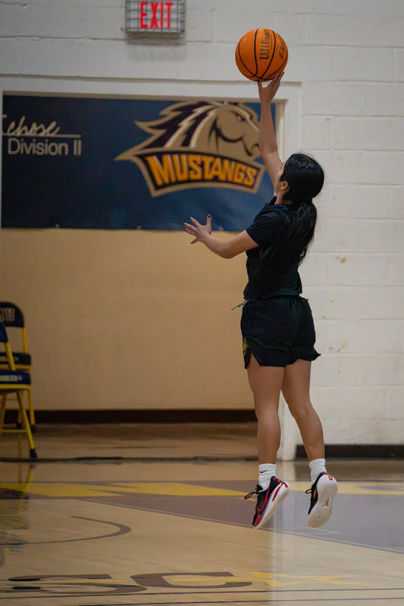 WNMU_WBB's tweet photo. Work mode 🏀

#wnmu #rarebreed https://t.co/tyDUPP2Yik