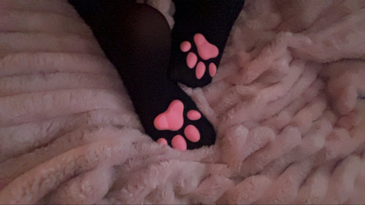 PillsLoves's tweet photo. Pawsocks reveal :D looking for moots still 
#ifb #moots #discord #egirl https://t.co/1PuRFlMoOl