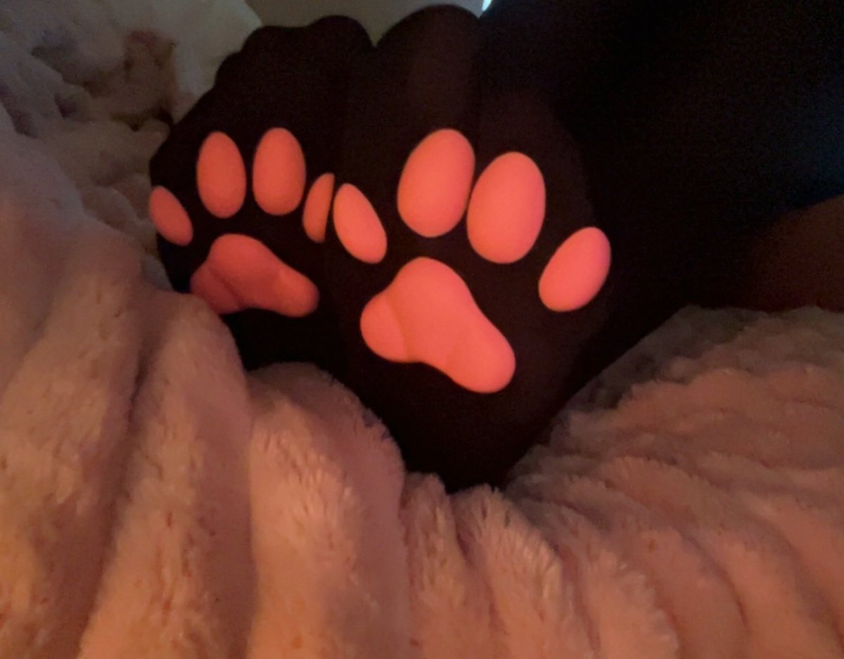 PillsLoves's tweet photo. Pawsocks reveal :D looking for moots still 
#ifb #moots #discord #egirl https://t.co/1PuRFlMoOl