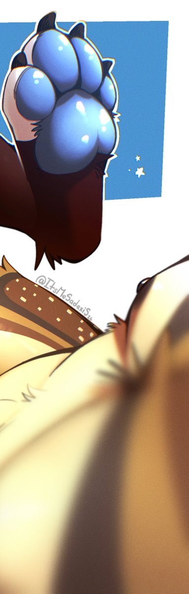 Matte_Wolf's tweet photo. I like it when he pushes his paws against my face~ https://t.co/VjX1XiNSA9