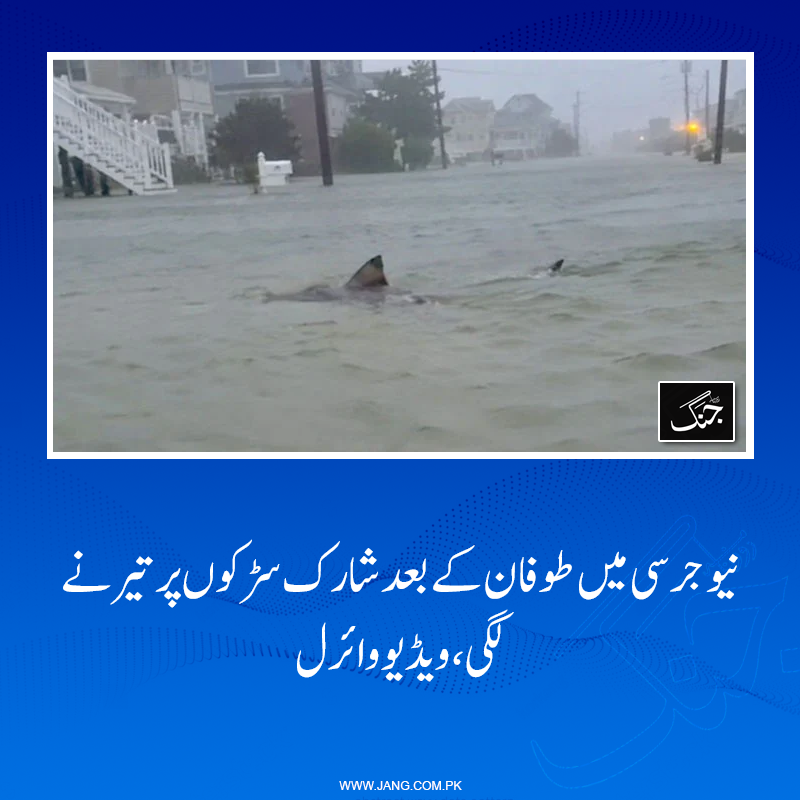 jang_akhbar's tweet photo. ڈرائیو وے سے سمندر کی طرف پیش قدمی کرتے شارک کی ویڈیو بنانے والے شہری کے مطابق شارک تیرتے ہوئے ایک گھر کے گیراج میں غائب ہوئی۔
تفصیلات جانیے: https://t.co/QUaHpnMMJE
#DailyJang #Shark https://t.co/iG8EMzjYfe