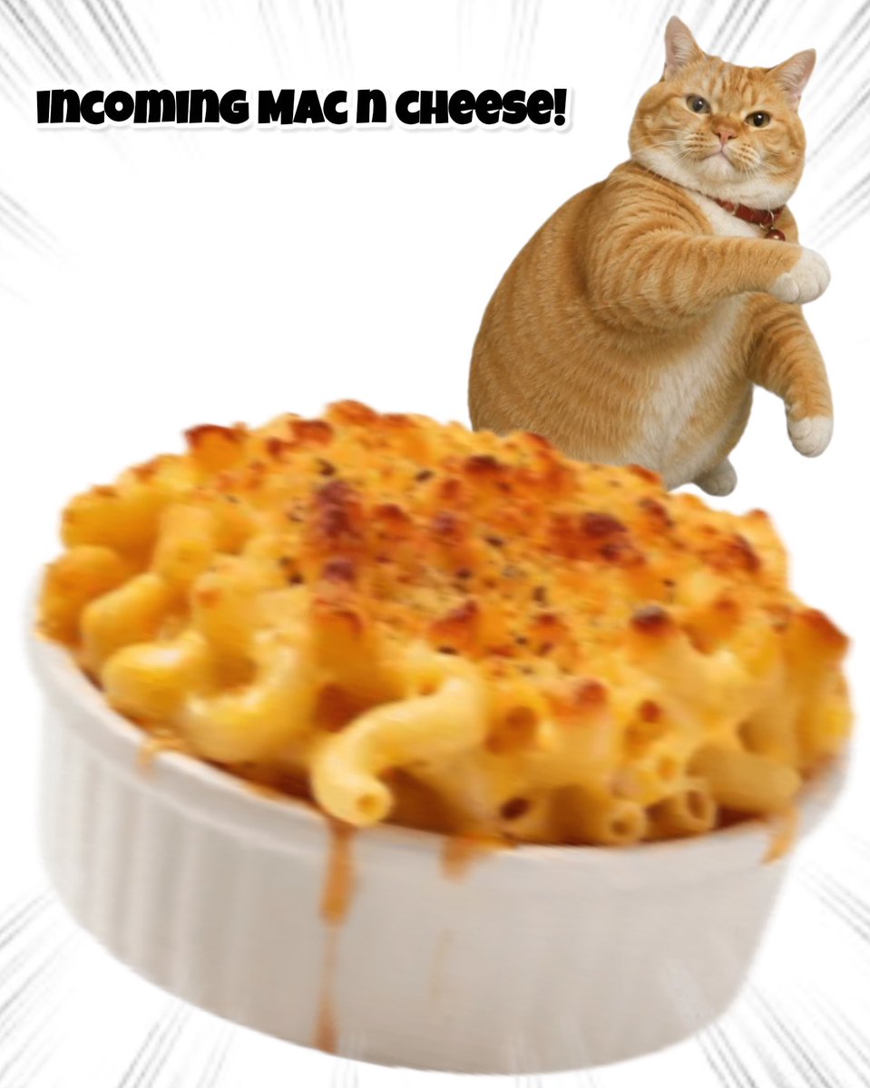 ThrowingObjects's tweet photo. Incoming Mac n Cheese! https://t.co/jSmOao3zdx