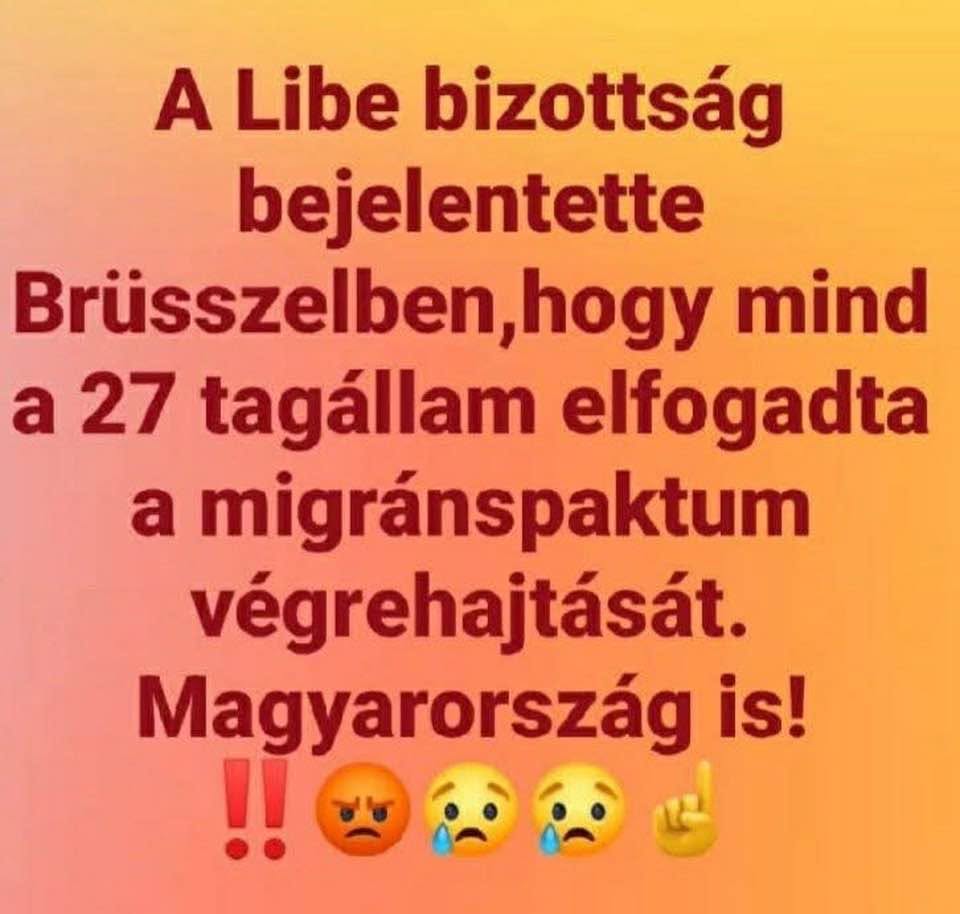 VadDarazs's tweet photo. Dzsindzser Jeles - Meta

Ezért szembesülnek a pesti kerületekben és Székesfehérváron meg másutt migráns csoportokkal a városlakók. Egyelőre békések, erősítésre várnak ami úton van. https://t.co/uXpMn0Jzln