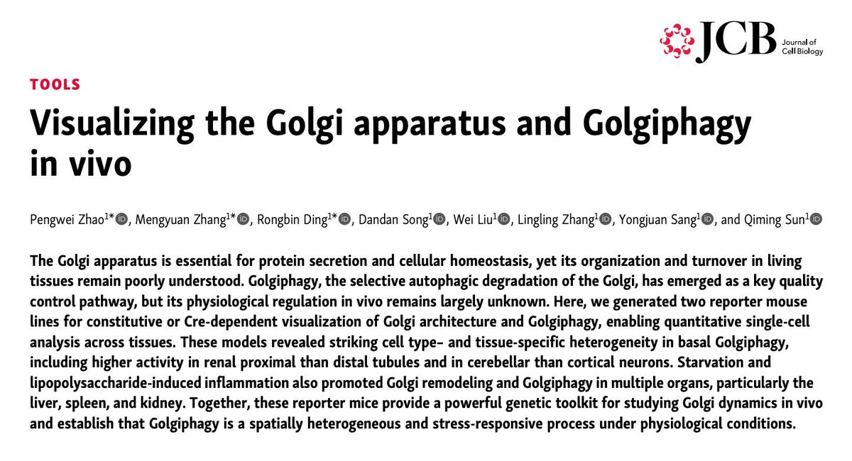 AdhesionLab's tweet photo. Good read....@JCellBiol 
https://t.co/vZ4cc2nLSd https://t.co/i0MCR9KMRU