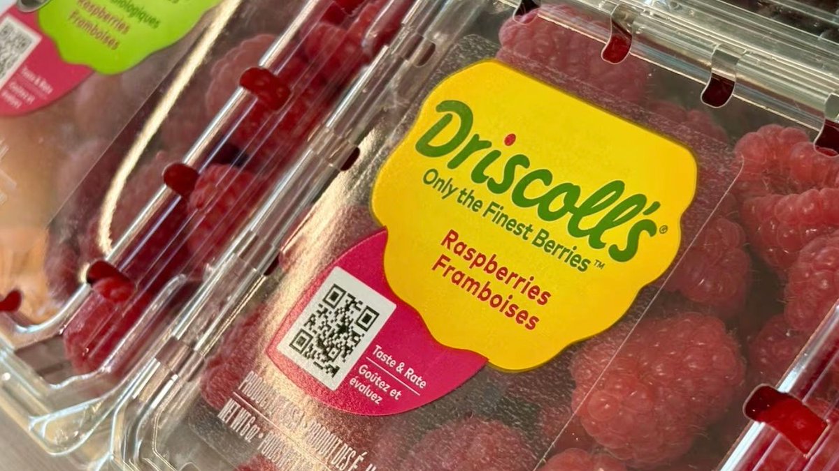 CanHealthwatch's tweet photo. Are the raspberries in my fridge OK to eat? What to know about chemical levels on Driscoll's berries. 

By Nick Logan. This article and more at https://t.co/CXQR6xn25M #PublicHealthCA https://t.co/0MNGb1z9gL