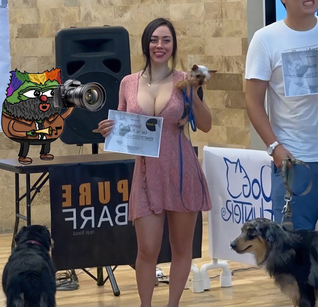 MountainMarvLad's tweet photo. Dog shows are underrated. Look at those puppies. https://t.co/hCaLg7D6GC