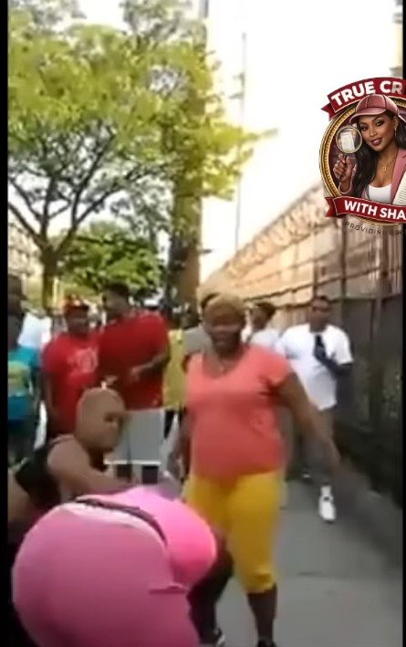 DiamzNova's tweet photo. @remymagroupchat Not Ms. Hustle and BaldPoose getting their ssa beat up by a nobody😂😂🤣🤣 This is Clearence boyyyyfriend and homegurl😂😂😂 https://t.co/tPH0XWDccX