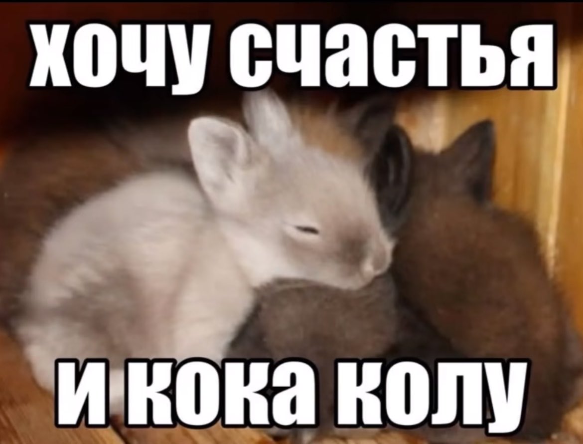 amiimbxg's tweet photo. сейчас https://t.co/6Qd69UP6u7