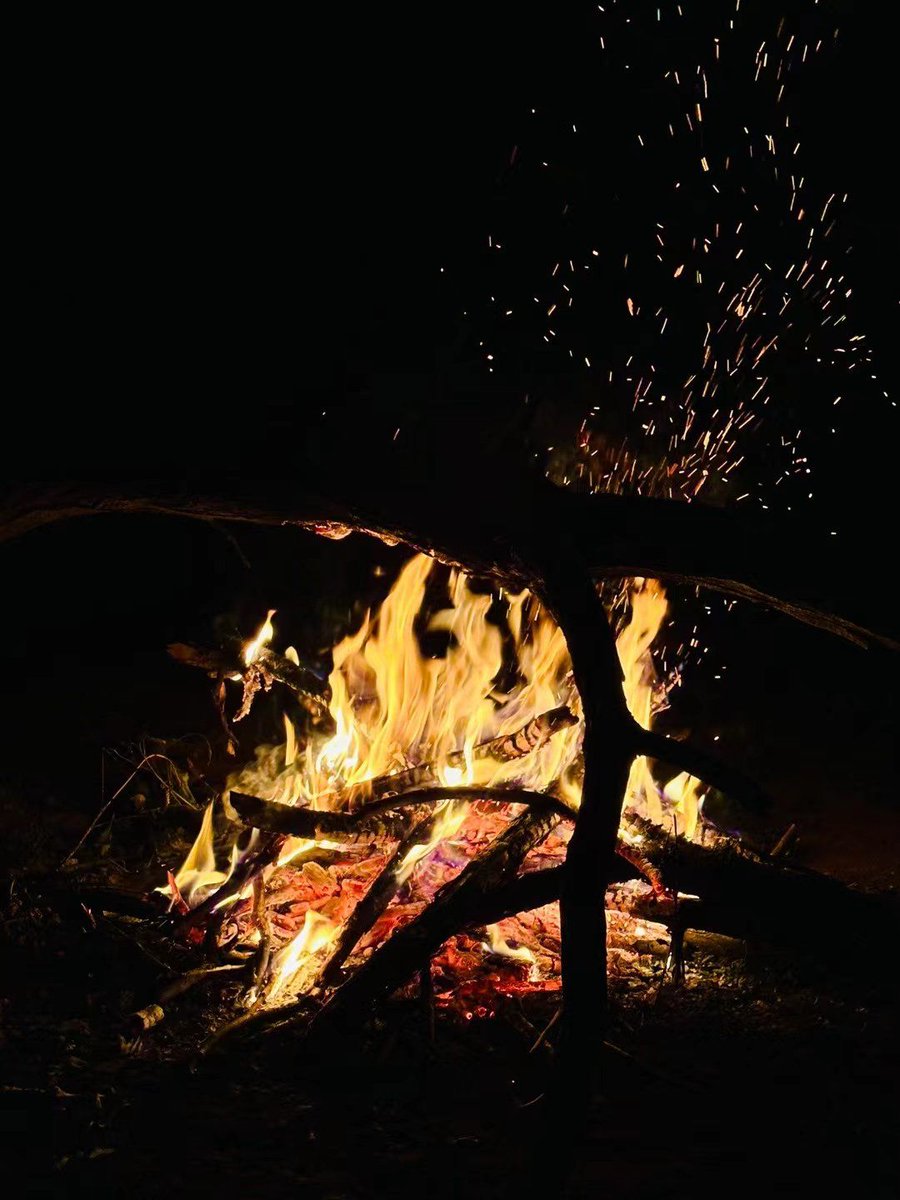 DarlenaFilhiol's tweet photo. Just spent the best night under the stars at the lakeside campsite—no plans, just warm marshmallows and crisp night air. This is the kind of reset we all need!， https://t.co/nG61V4AQUE