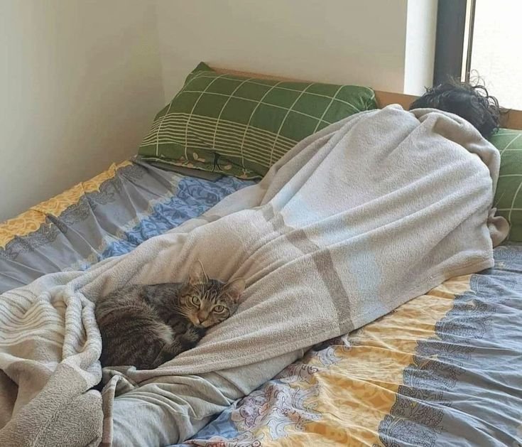 calmgloww's tweet photo. the coziest little place https://t.co/n9v6aFfZU7