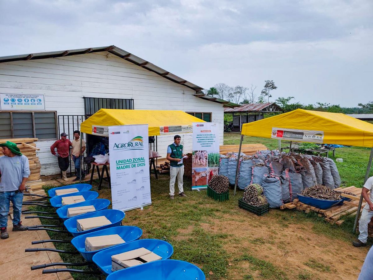 agroruralPER's tweet photo. 📍#MadreDeDios | 🚨 ¡158 familias productoras reciben nuevos kits para fortalecer su producción agropecuaria!
Agro Rural del Midagri realizó la segunda entrega de 158 kits productivos a familias de Iberia, Iñapari y Tahuamanu, en la provincia de Tahuamanu. https://t.co/PRSECTZWOm