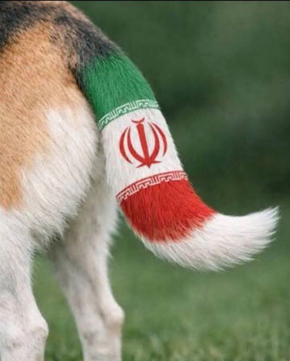 fahdbindran's tweet photo. @LordPahlavi @KSA_1351S https://t.co/J45cZTOSIE