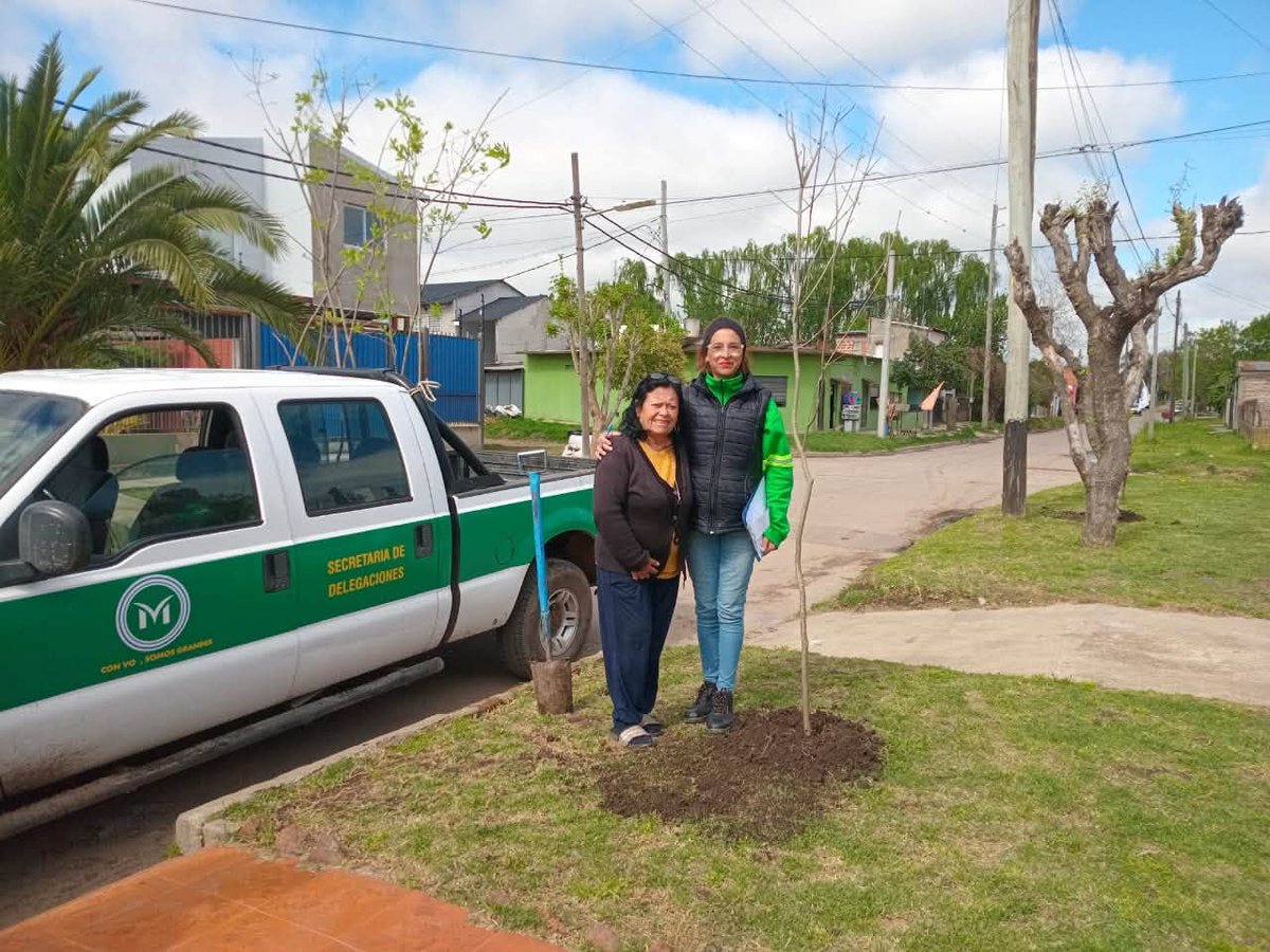 MerloGob's tweet photo. Entrega gratuita de árboles 🌳
💚 En Merlo continuamos con el Plan de Forestación, entregando árboles a domicilio para nuestros vecinos.
➡️ Podés consultar el listado de Delegaciones en https://t.co/RfWKKHlk7G
#MerloGob #Merlo
#GustavoMenéndezIntendente https://t.co/16TzjM1PVU