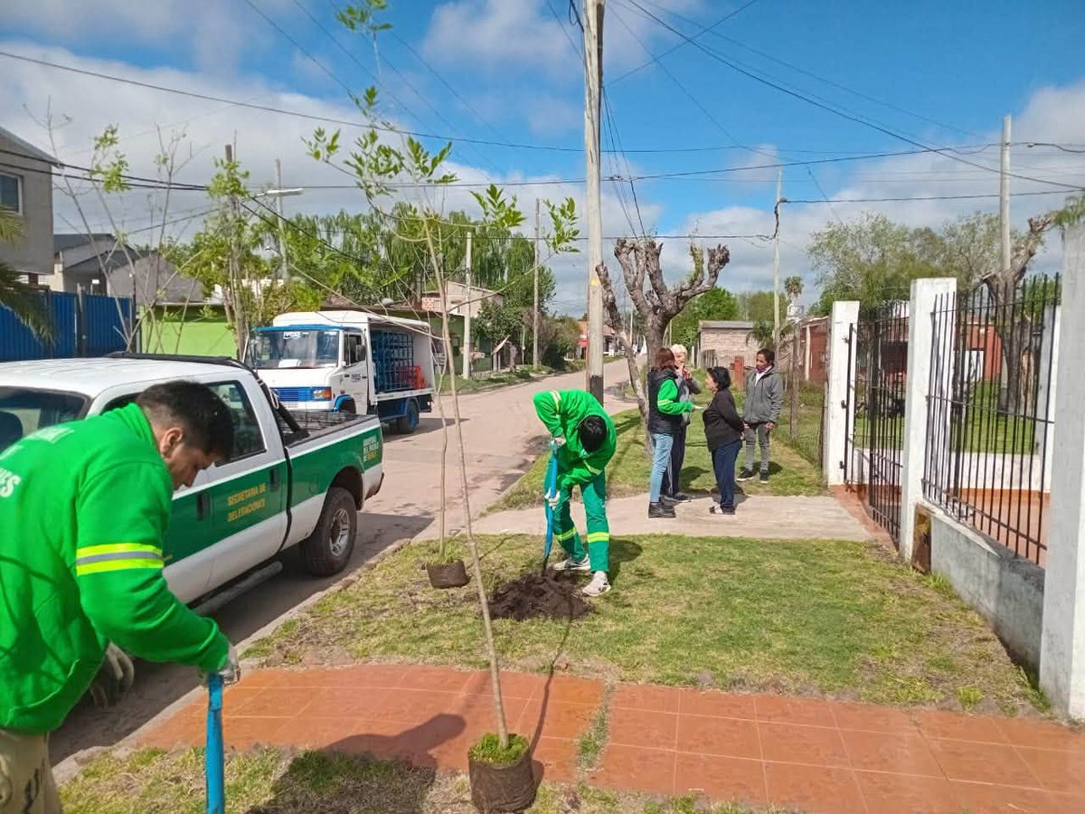 MerloGob's tweet photo. Entrega gratuita de árboles 🌳
💚 En Merlo continuamos con el Plan de Forestación, entregando árboles a domicilio para nuestros vecinos.
➡️ Podés consultar el listado de Delegaciones en https://t.co/RfWKKHlk7G
#MerloGob #Merlo
#GustavoMenéndezIntendente https://t.co/16TzjM1PVU