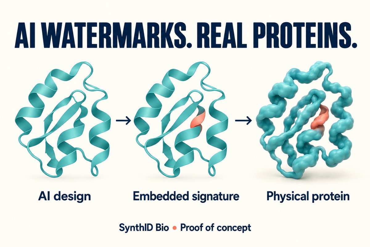 MattLanger's tweet photo. AI watermarks are reaching the physical world.

Google DeepMind’s SynthID Bio is a proof of concept for tagging AI-designed proteins. In lab tests, the signature stayed detectable after the proteins were made, while preserving the functions tested.

“Was this AI-generated?” is becoming a question about molecules, too.