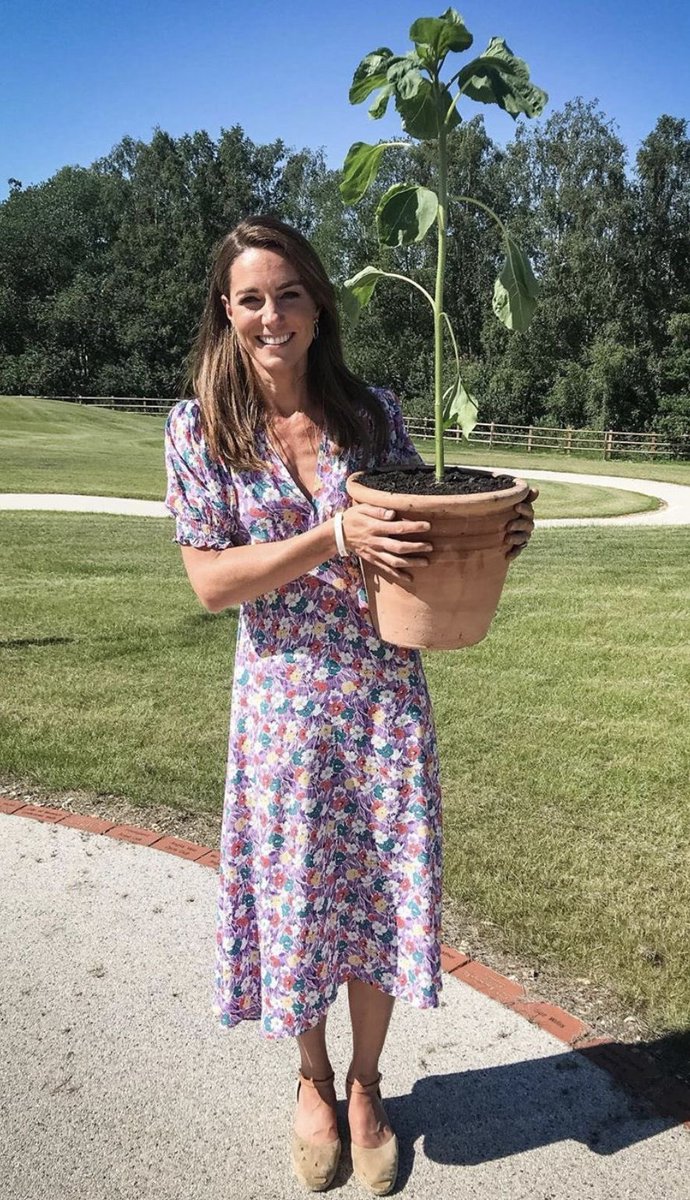 princessCahfc's tweet photo. A beautiful moment surrounded by nature—holding a growing sunflower with a bright smile, bringing warmth, joy, and a lovely touch of summer to the scene. 🌻🌿☀️ https://t.co/5DPiAgX6Cb