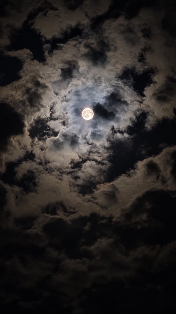 xiilx_0's tweet photo. Enjoy the quiet https://t.co/M2zQdw5xTq