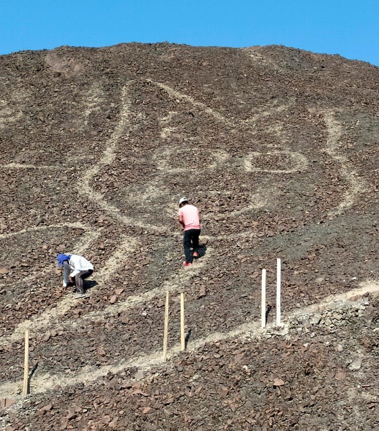 Archaeologists discovered a 2,000 year old giant cat geoglyph among Peru’s famous Nazca Lines

The 37 metre long figure was found on a hillside during conservat