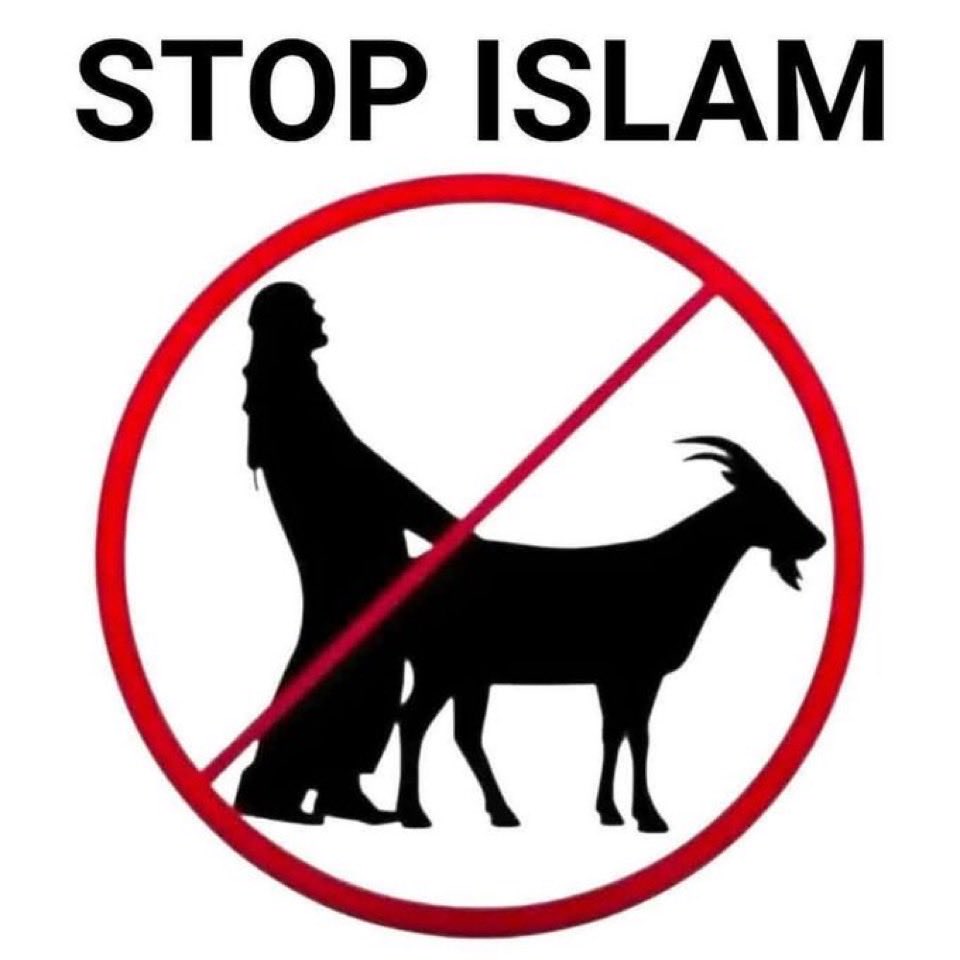 boy_bogey40697's tweet photo. @Waheed15259775 @onion_i90 Leave those goats alone Waheed! https://t.co/ofi1Dtq1mT