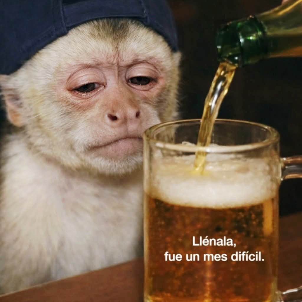 MadreSemestrosa's tweet photo. Y tengo sed de la mala 🥵🍺 https://t.co/Wn2Bzg470D
