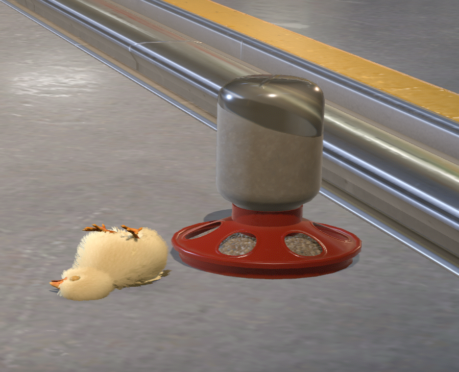 C4rver's tweet photo. The new chickens in CS2 go through a natural decomposition cycle that lasts 28 days.

If the chick is not fed within 7 days of hatching, it will die, then slowly decompose over the next 4 weeks. https://t.co/AP3XpxJthp